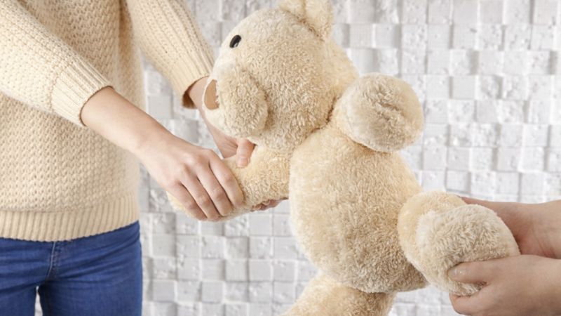 新加坡未成年子女抚养权，照顾及控制权，探视权概况